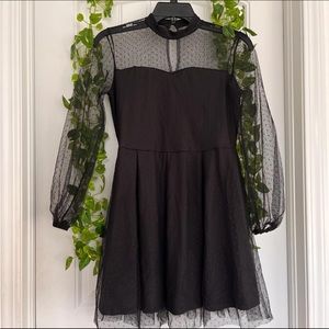 Black Mesh Long Sleeve Flared Dress